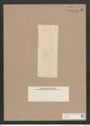 Navicula gentilis Donk. (de-Toni-Nr.: Genus 1, Species 6) Zeichnungen Sammlung Grunow Nr. 21 (NHMW-BOT-W0366204)